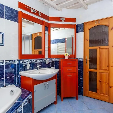 Javor -